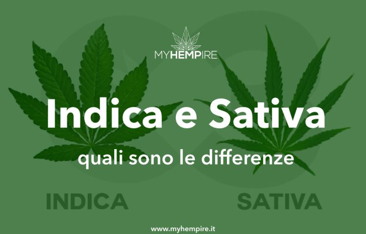 Indica e sativa - quali sono le differenze