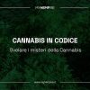 Cannabis in codice: svelare i misteri del dna della pianta