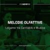 Melodie olfattive: legame tra cannabis e musica