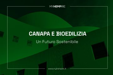 Canapa e Bioedilizia: Un Futuro Sostenibile